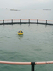 Зонд PB-060-AY Буй Мониторинг качества воды в озере Мониторинг качества воды в режиме реального времени, температуры, pH, проводимости, содержания растворенного кислорода и мутности.