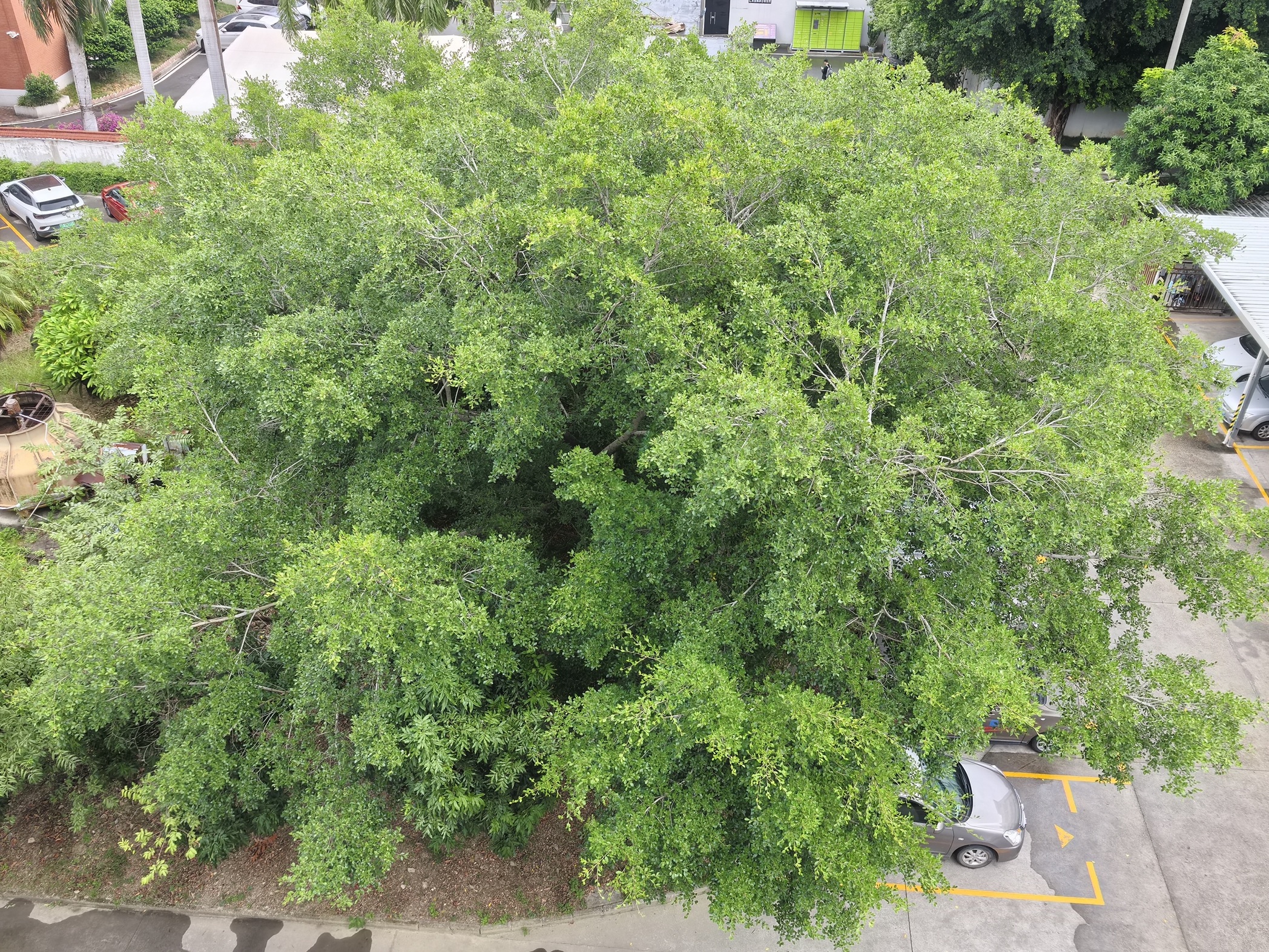 Среда производителя датчика воды
